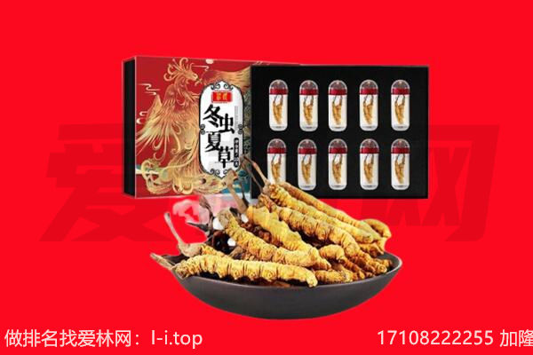 泸州回收虫草.jpg